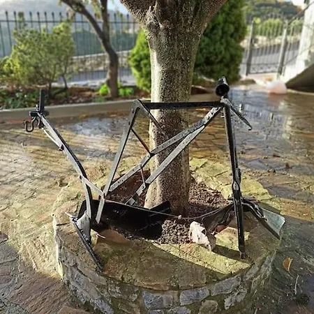 Tatil Evi Magnolia Traditional Stone House In *