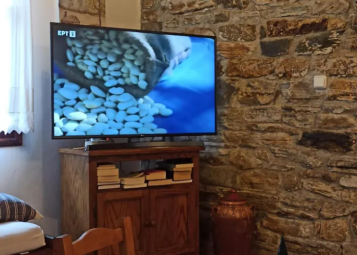 Magnolia Traditional Stone House In Vamvakou