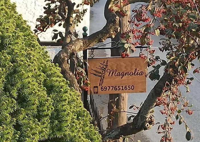 Magnolia Traditional Stone House In Holiday home Vamvakou